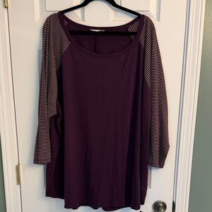 Terra & Sky Plum Raglan Stripe Sleeve Tunic Top